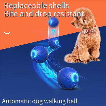 2026 Hot Sale 🐶 Interactive Shaky Ball Toy for Dogs & Cats