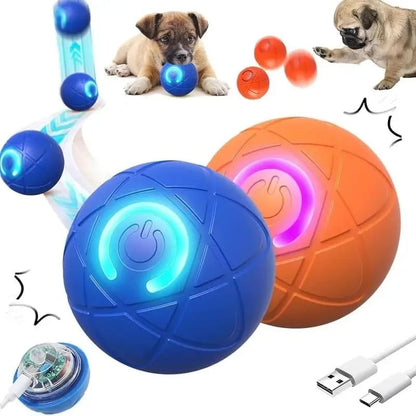 2026 Hot Sale 🐶 Interactive Shaky Ball Toy for Dogs & Cats