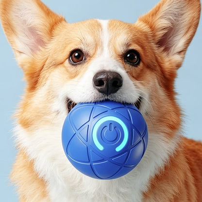 2026 Hot Sale 🐶 Interactive Shaky Ball Toy for Dogs & Cats