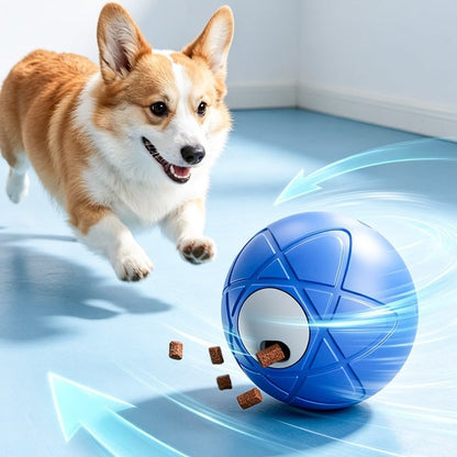 2026 Hot Sale 🐶 Interactive Shaky Ball Toy for Dogs & Cats