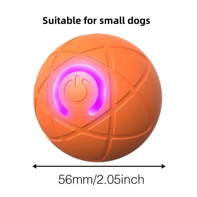 2026 Hot Sale 🐶 Interactive Shaky Ball Toy for Dogs & Cats