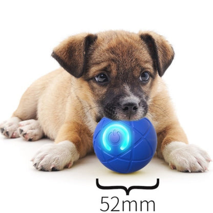 2026 Hot Sale 🐶 Interactive Shaky Ball Toy for Dogs & Cats
