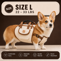 Large Dog (22–33 lbs)