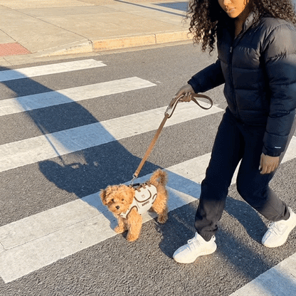🐾 Hands-Free Pet Carrier Backpack with Adjustable Shoulder Strap