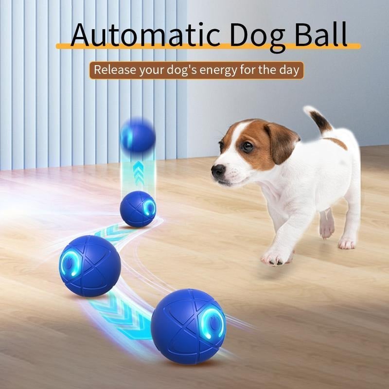 2026 Hot Sale 🐶 Interactive Shaky Ball Toy for Dogs & Cats