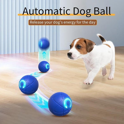 2026 Hot Sale 🐶 Interactive Shaky Ball Toy for Dogs & Cats