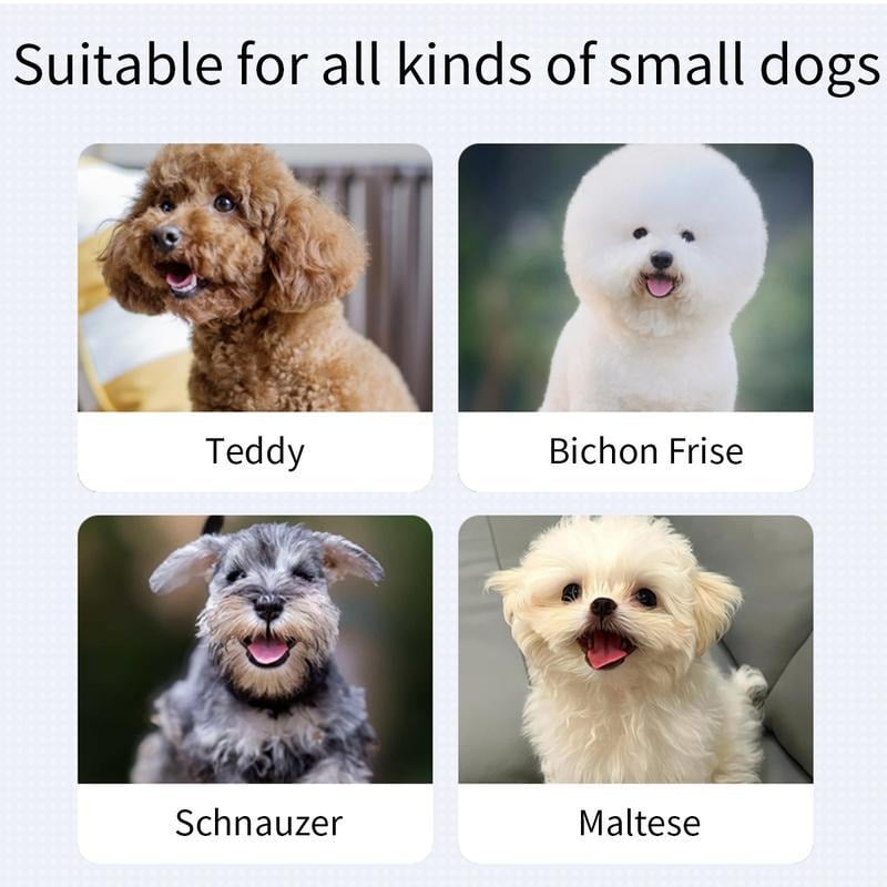 2026 Hot Sale 🐶 Interactive Shaky Ball Toy for Dogs & Cats