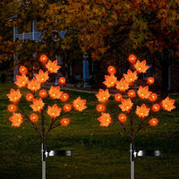 Maple Leaf & Pumpkin