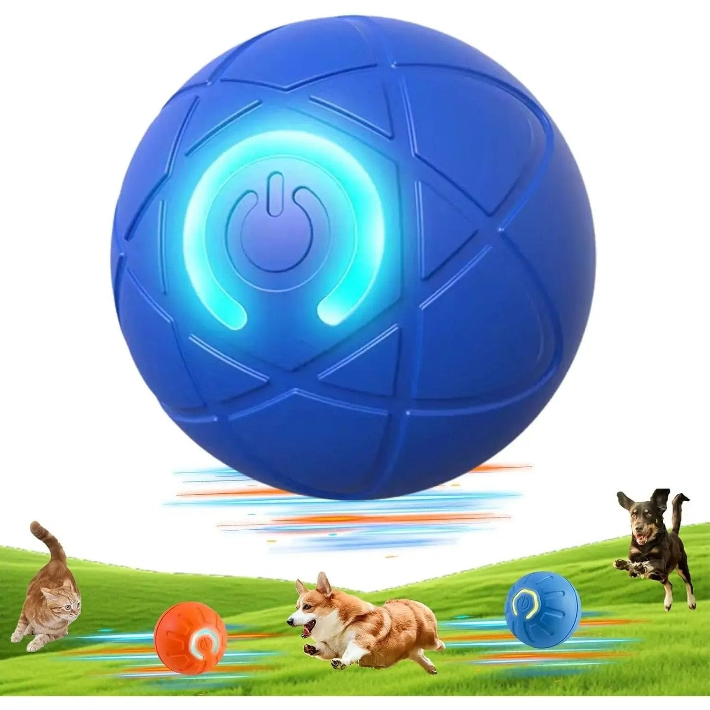2026 Hot Sale 🐶 Interactive Shaky Ball Toy for Dogs & Cats